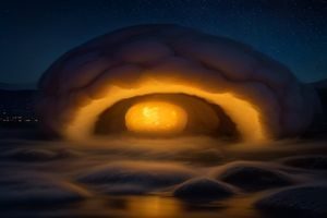 激情丛林萤火虫季限定夜行活动现场萤光点点如梦如幻